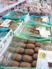 1201kiwi.jpg