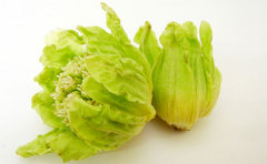 0202hukinoto.jpg