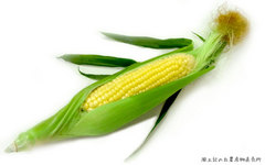 0524corn.jpg