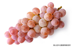 甲州