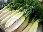 1108daikon.jpg