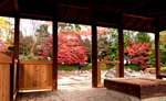 公園内