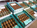 1115kiwi1.jpg