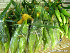 20110515もろこし.jpg