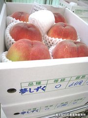 20110714夢しずく.jpg
