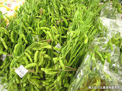 20110714枝豆.jpg