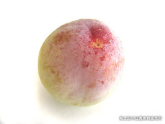 20110715サマービュート.jpg