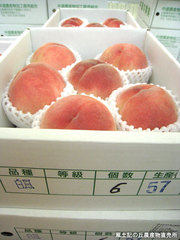 20110720白鳳.jpg