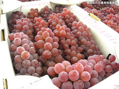 20110725デラウェア.jpg