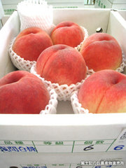 20110725浅間白桃.jpg