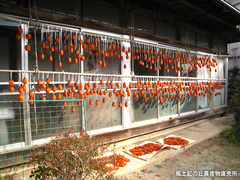 20111118干し柿.jpg