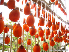 20111118干し柿2.jpg