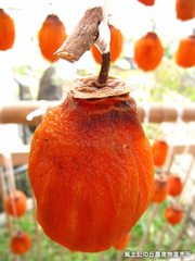 20111118干し柿3.jpg