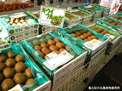 20111130キウイフルーツ.jpg
