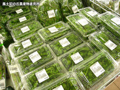 20120422こごみ.jpg