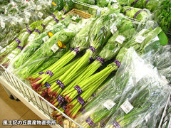 20120422ふき.jpg