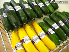20120506ズッキーニ.jpg