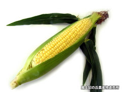 20120608きみひめ.jpg