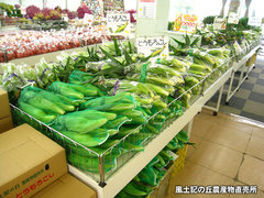 20120608もろこし.jpg