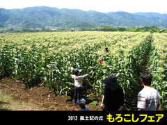 20120610もろこしフェア6.jpg