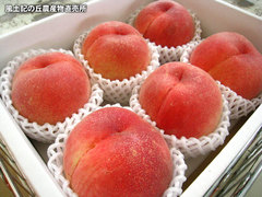 20120706みさか.jpg