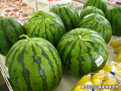 20120706スイカ.jpg