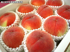 20120711夢しずく.jpg