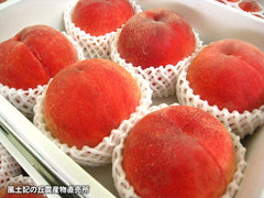 20120713白鳳.jpg