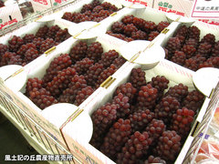 20120714デラウェア.jpg