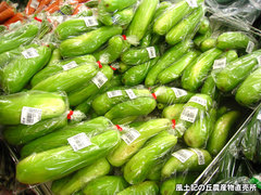 20120714白うり.jpg