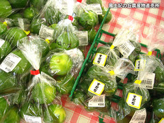 20120916かぼすだち2.jpg