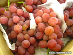 20120919甲斐路.jpg