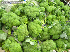 20121010ブロッコリー.jpg