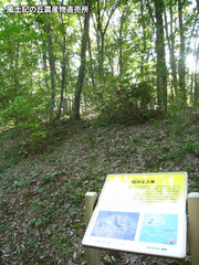 20121012公園3.jpg