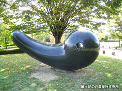 20121012公園5.jpg
