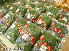 20121221ちぢみほうれん草.jpg