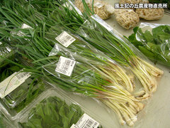 20130324エシャレット.jpg