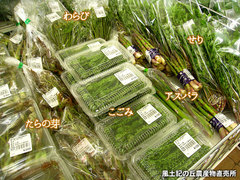 20130405山菜.jpg