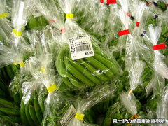 20130517えんどう豆.jpg