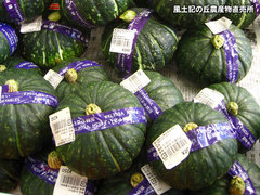 20130517かぼちゃ.jpg