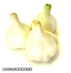 20130614にんにく2.jpg