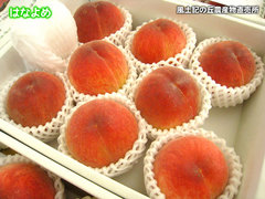 20130621はなよめ.jpg