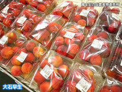 20130621大石.jpg