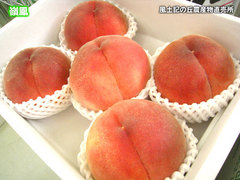 20130728嶺鳳.jpg