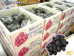 20130728巨峰.jpg