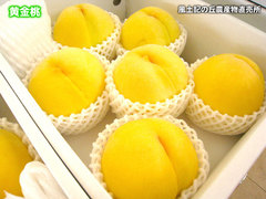 20130802黄金桃.jpg