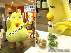 20130915-4.jpg