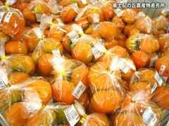 20130922柿.jpg