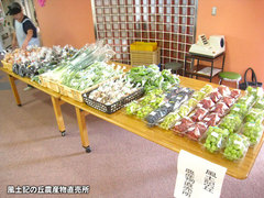 20130929アネシス1.jpg