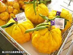 20131213ししゆず.jpg